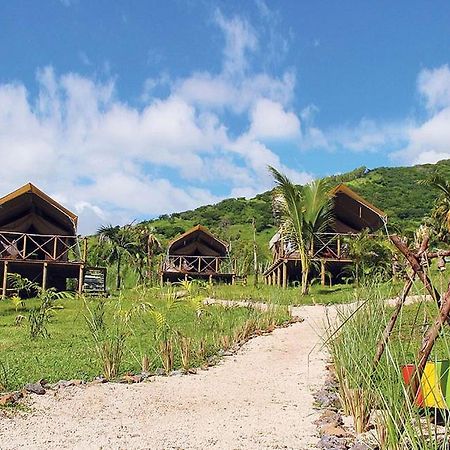 Otentic, Eco Tent Experience Grand River South East Esterno foto