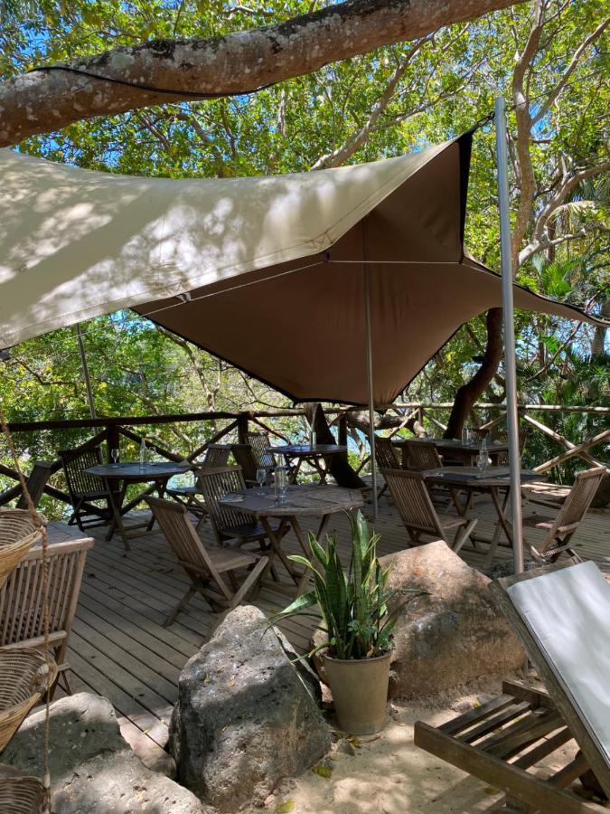 Otentic, Eco Tent Experience Grand River South East Esterno foto